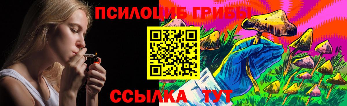 где купить наркоту  Галлюциногенные грибы MAGIC MUSHROOMS  Вход с VPN  Белая Калитва 